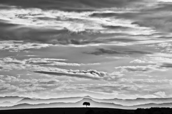 Photograph Marcos Furer Fine Art Nature on One Eyeland